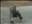 Lasse_H